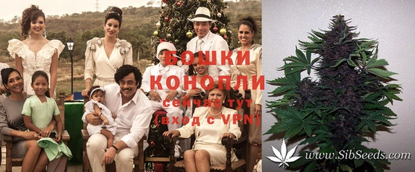 дурь Аркадак