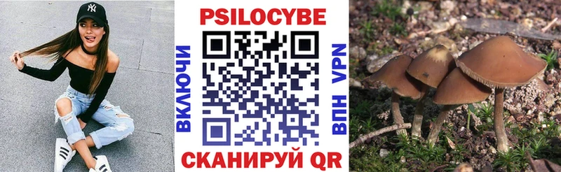 blacksprut зеркало  Малгобек  Псилоцибиновые грибы MAGIC MUSHROOMS 