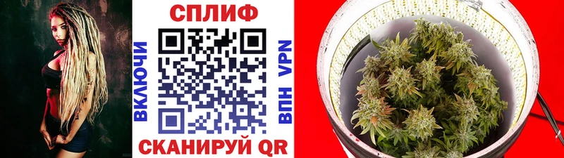 hydra как войти  Малгобек  Марихуана Amnesia 